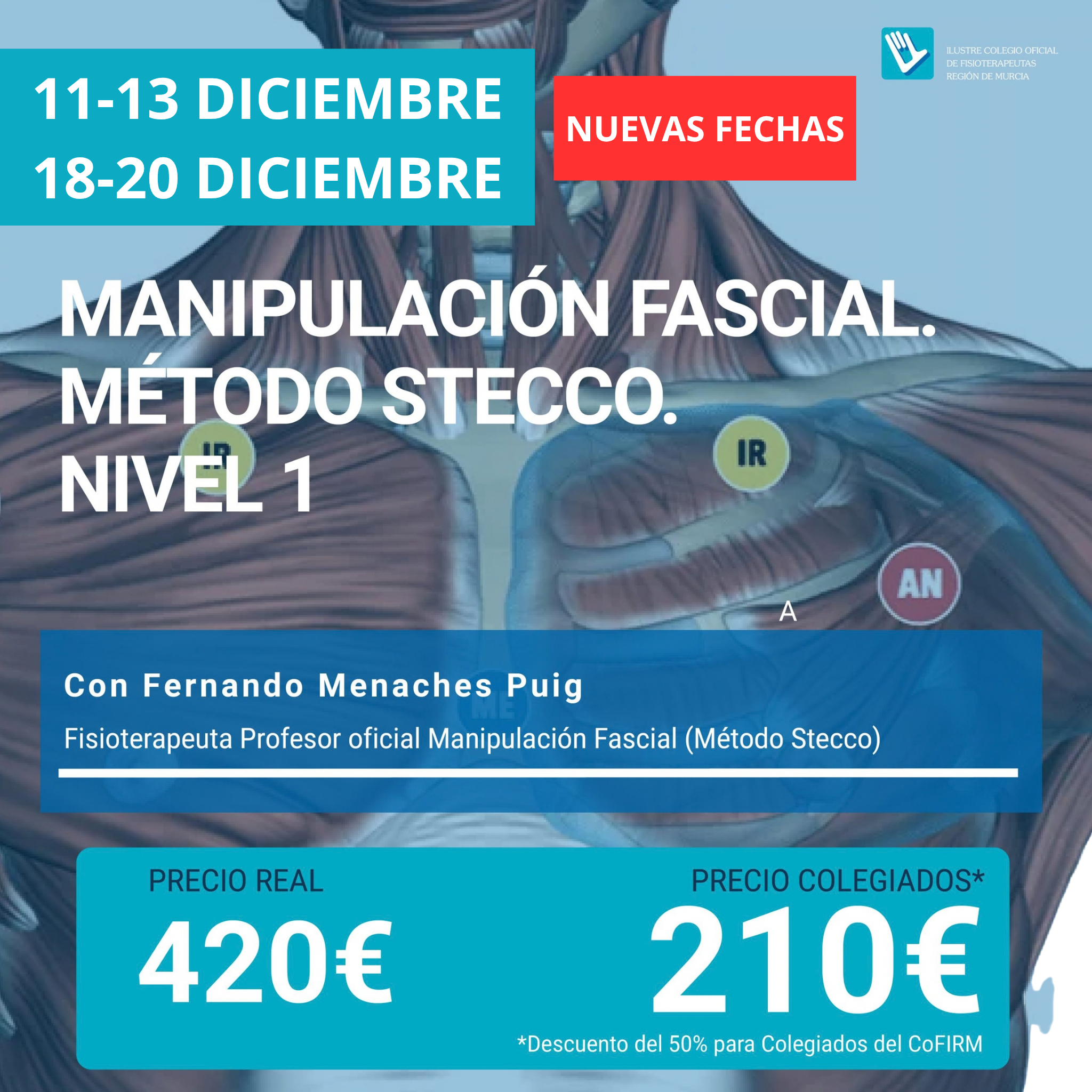 Manipulación Fascial Método Stecco. Nivel 1