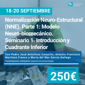 Normalización Neuro-Estructural  (NNE). Parte 1: Modelo  Neuro-biomecánico.  Seminario 1. Introducción Y  Cuadrante Inferior