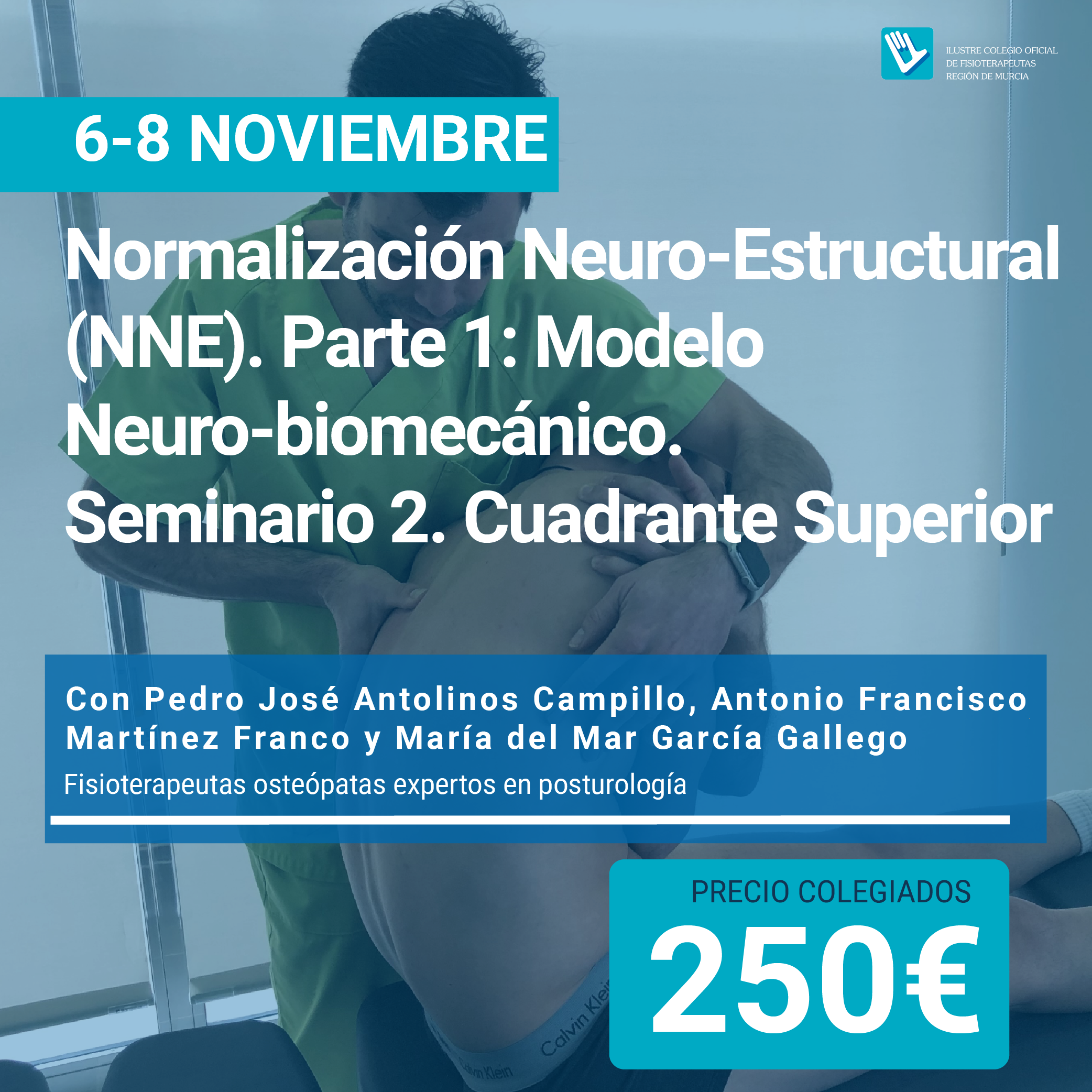 Normalización Neuro-Estructural  (NNE). Parte 1: Modelo Neuro-biomecánico.  Seminario 2. Cuadrante Superior