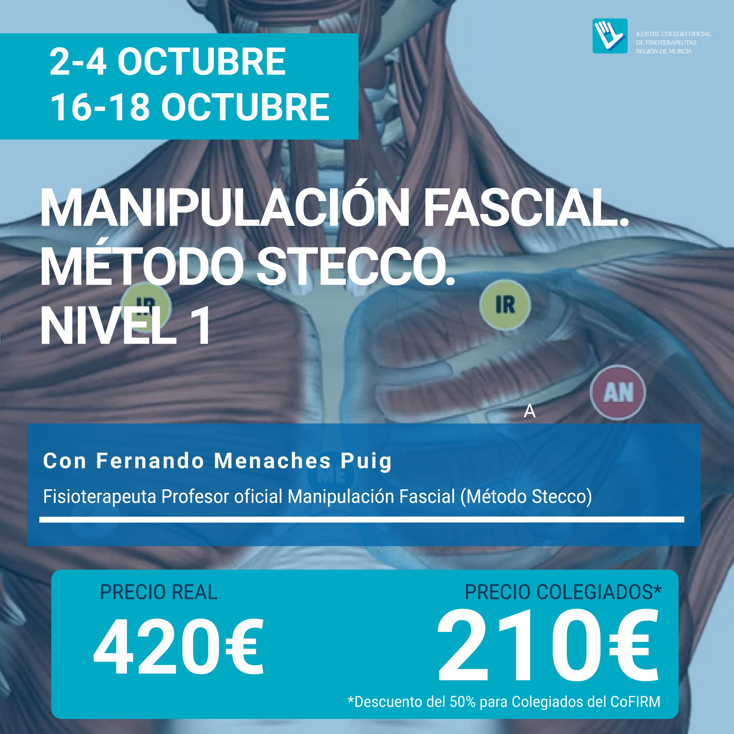 Manipulación Fascial Método Stecco. Nivel 1