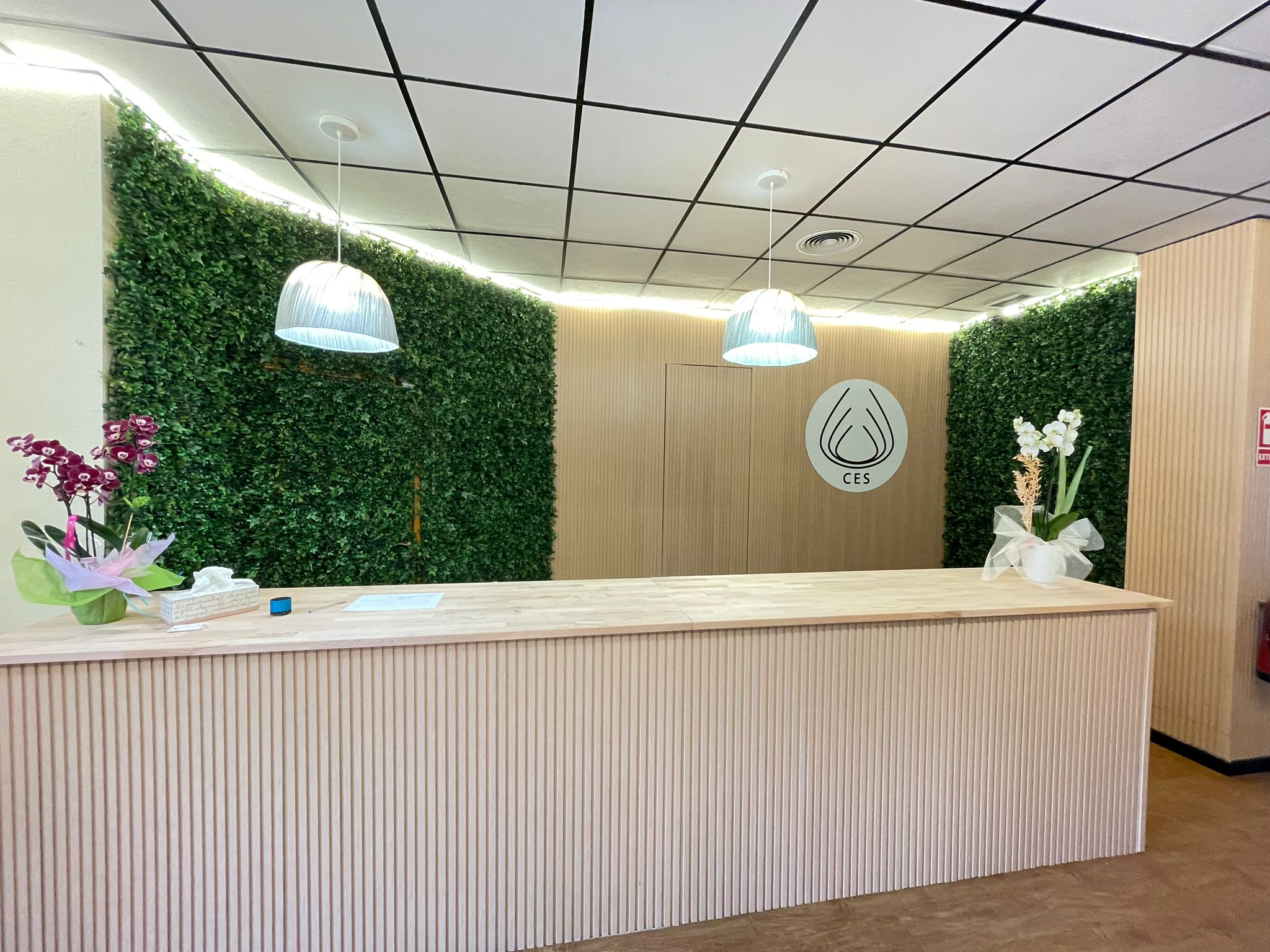 Buscamos fisioterapeuta con visión global de la salud
